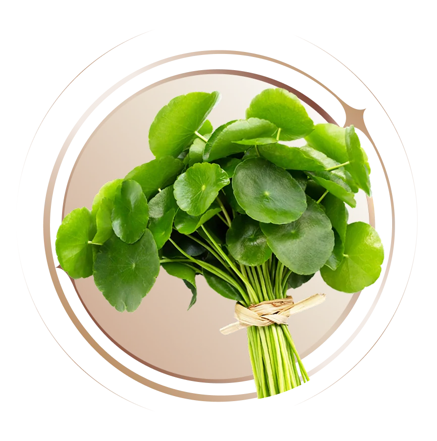 Rau má tự nhiên